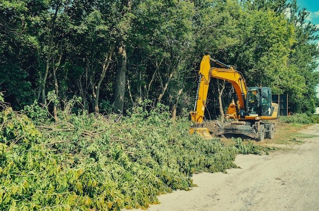 A mini excavator is cutting brushes to clear the land.
